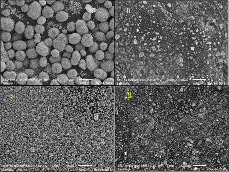 Surface morphology of (a) CuO, (b) SiO2, (c) TiO2 and (d) trihybrid (CuO/SiO2/TiO2) at 300× magnification (50 μm).