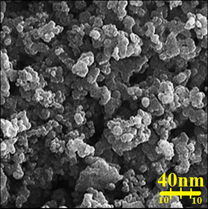 FE-SEM image of AuNPs.