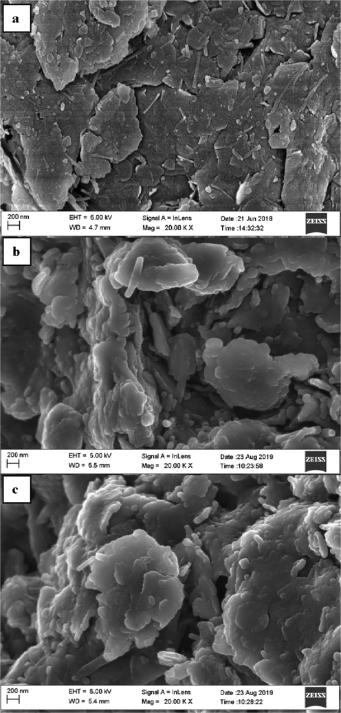 SEM micrographs (a) RC (b) HMC and (c) AMC adsorbent.