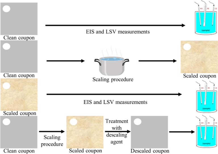 Flow diagram of the experiments.