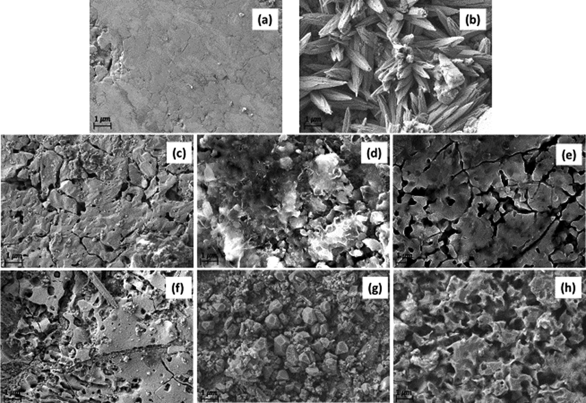 SEM images mild steel coupons clean (a), scaled (b), immersed in whey for 3 and 15 h (pH ∼ 3) (c), (f), immersed in DI water for 3 and 15 h (d), (g), immersed in vinegar for 3 and 15 h (pH ∼ 3) (e), (h).