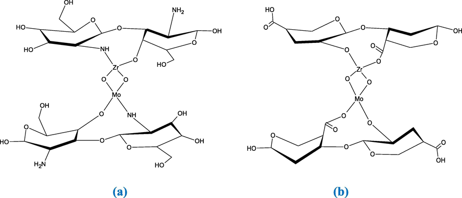 Structure of ZrMo/chitosan (a) and ZrMO/alginate (b).