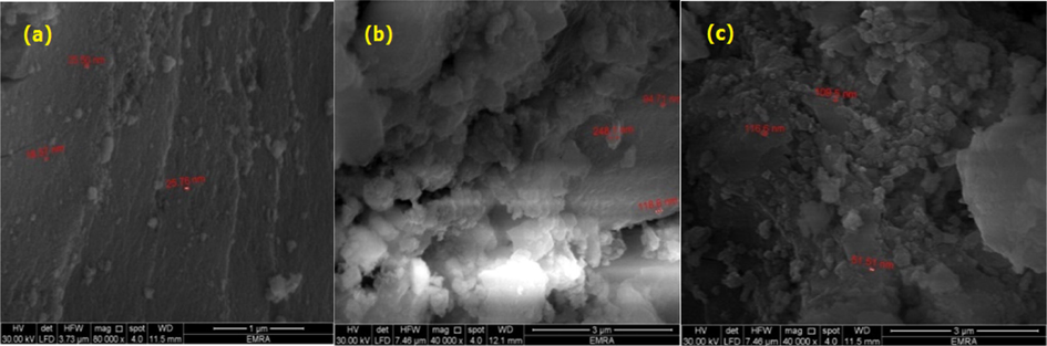 Scanning electron microscopy (SEM) images of the as-synthesized ZrMo, ZrMo/chitosan and ZrMO/alginate at 80,000 magnifications.