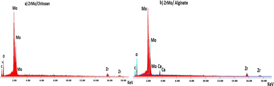 Energy dispersive X-ray analyses (EDX) of ZrMo/chitosan and ZrMO/alginate.