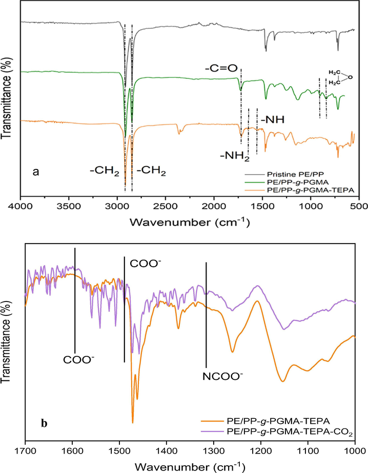 FTIR spectra of: (a) pristine PE/PP, PE/PP-g-PGMA and PE/PP-g-PGMA/TEPA samples and (b) adsorbent of before and after CO2 adsorption.