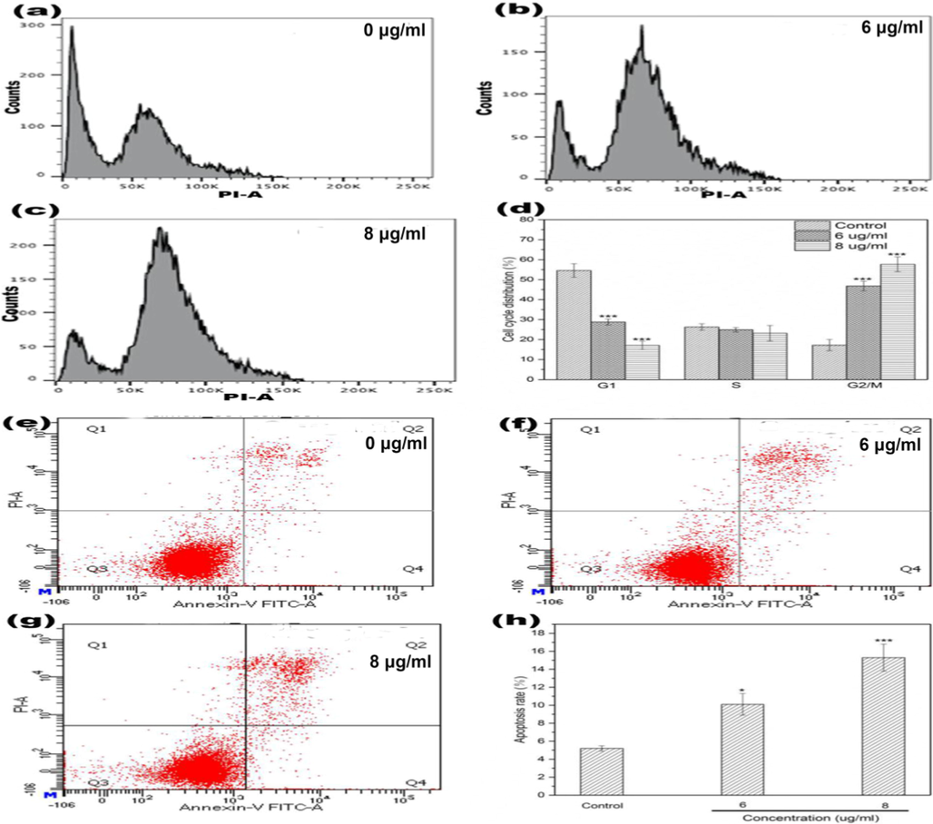 a-h, Cell cycle and apoptosis analysis of HepG2 cells treated by DD2 for 24 h. d, h were respectively the numerical histogram of cell cycle distribution and the numerical histogram of apoptosis rate. Data represent the mean ± SD of three independent experiments. *P < 0.05,***P < 0.001 vs untreated control cells.