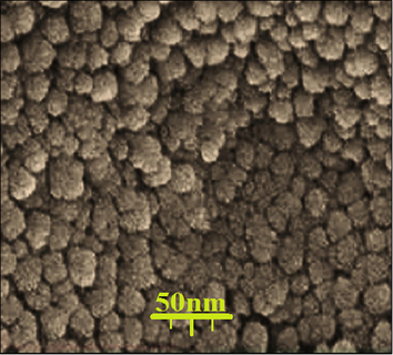 FE-SEM image of silver nanoparticles green-synthesized using Zingiber officinale leaf.