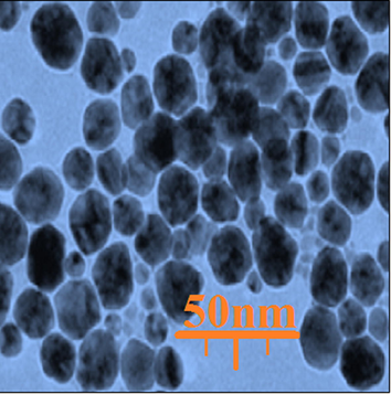 TEM image of silver nanoparticles green-synthesized using Zingiber officinale leaf.