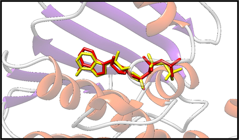 The structure obtained by redocking (yellow), and overlapping the crystallographic structure (red) of TOPO II-bound complex.