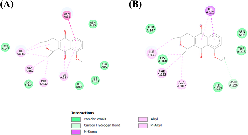 Molecular interactions established between (A) Isoeleutherin and (B) eleutherin with the TOPO II binding pocket.