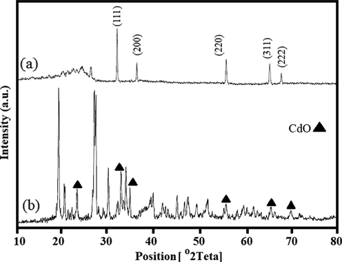 XRD analysis of the CdO nanoparticles (Foroughi et al., 2017) (a) and as-synthesized CdO/Chitosan core shell nanostructures (b).