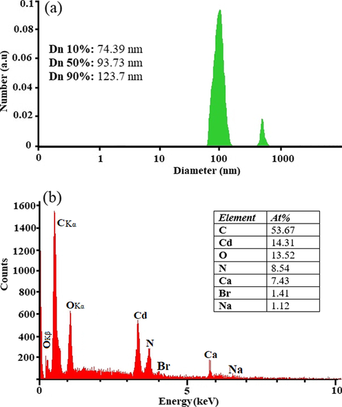 DLS data diagram (a) and EDAX analysis of as-synthesized CdO/Chitosan NPs.