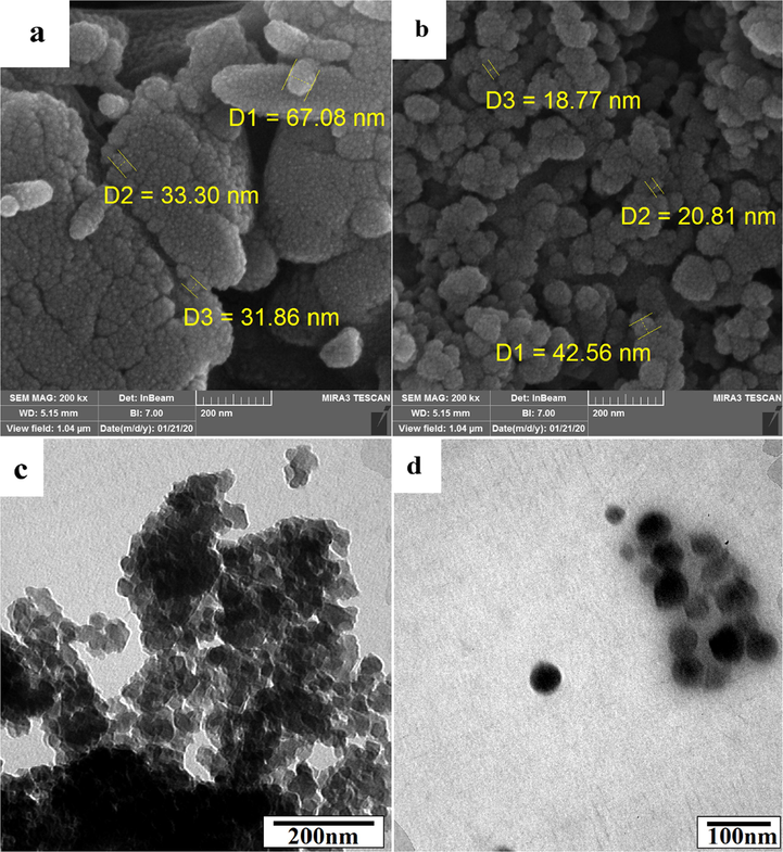 SEM images of chitosan (a), CdO/Chitosan NPs (b), TEM image of CdO/Chitosan core/shell structure with scale 200 nm (c) and with scale 100 nm.