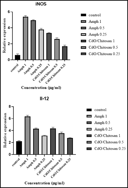 The gene expression levels of interleukin-12 (IL-12 p40) and inducible nitric oxide synthase (iNOS gene) as representative of the Th-1 pathway significantly up-regulated (P < 0.001).