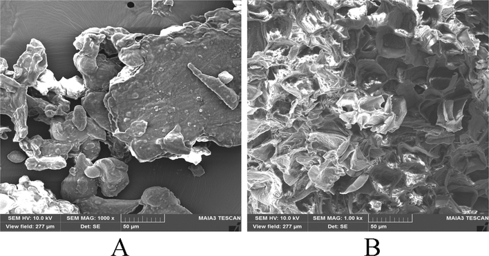 Scanning electron micrographs of OFA fruits: OFA fruit sample for UAE without treatment (A); OFA fruit sample after UAE treatment (B).