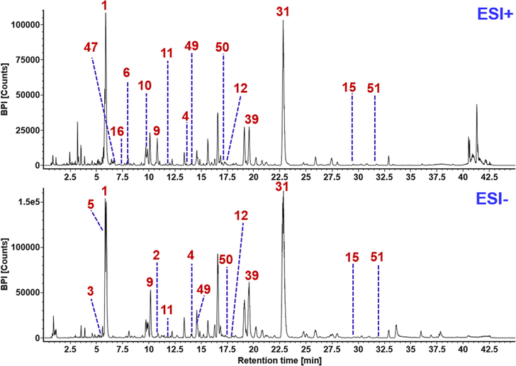 Base peak intensity chromatograms of FHD in both the positive and negative ESI modes. The peaks identified by reference compounds comparison are annotated with the numbers consistent with the order in Fig. 1.