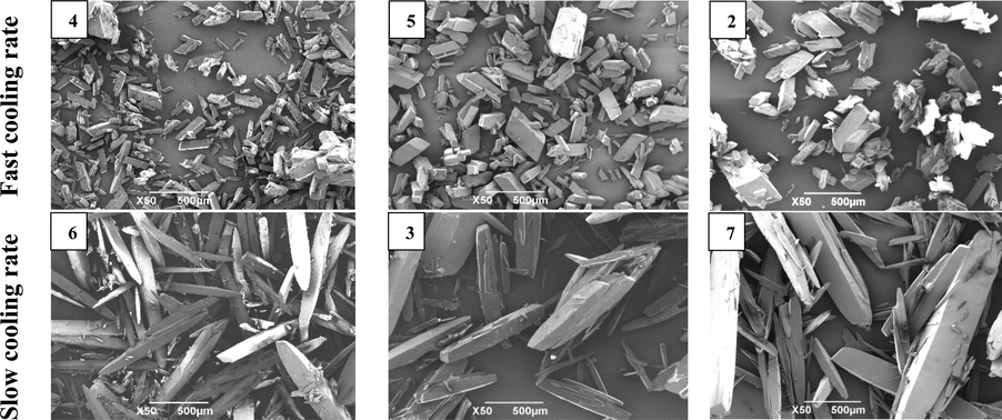 SEM images of PA samples isolated from experiments at different crystallization conditions. Scale bars represent 500 μm. Numbers denote experiments from Table 1 (first row, from left to right: experiment no. 4, no. 5 and no. 2.; second row from left to right: experiment no. 6, no. 3 and no. 7).