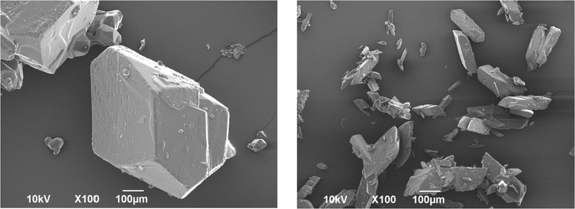 Scanning electron micrographs of untreated (left), and treated PA powders in presence of 2.5 g Phen (right). Cooling crystallization conditions: No seeding, 400 rpm and 0.9 K/min.