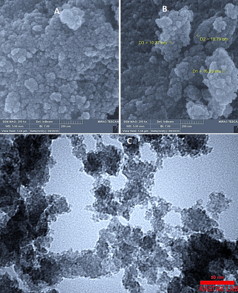 A and B) SEM images of ZnO2-NPs, the images were taken under 100 KV. C) TEM image of ZnO2-NPs, applied voltage: 300 KV.