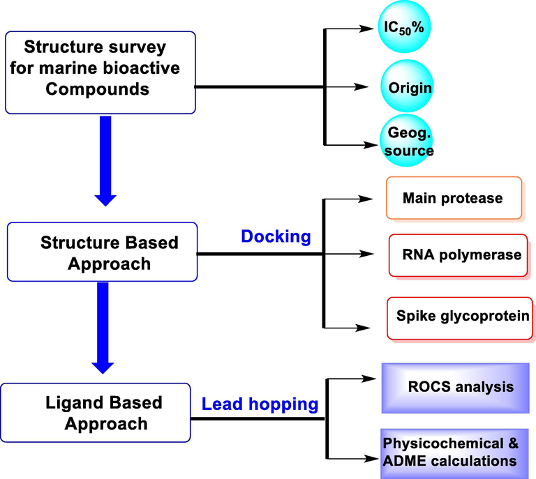 Flow chart for the rationale of the study.