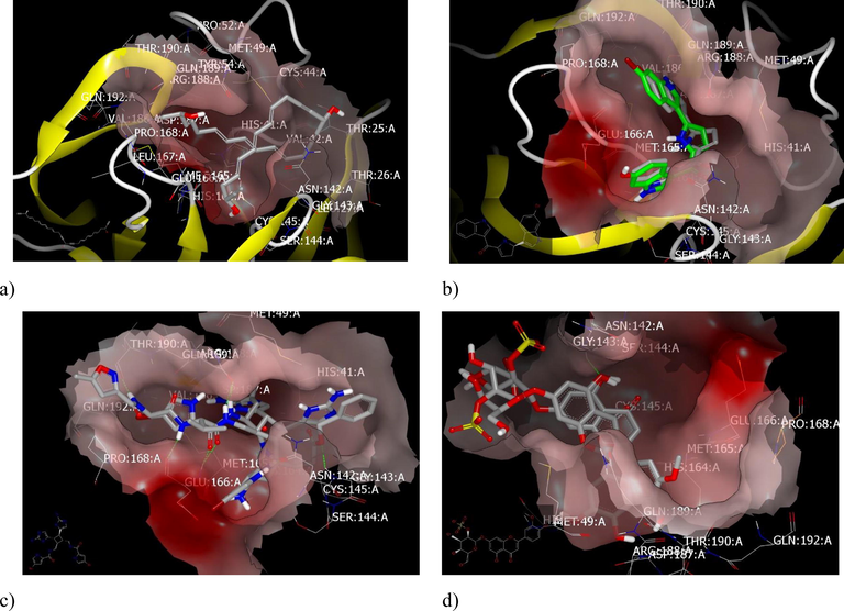 visual representation by Vida: a) Polyacetylenetriol occupied the receptor of 6lu7 domains in a hydrophobic-hydrophobic interaction; b) deoxybromotopsentin and bromotopsentin; c) sceptrin overlay with co crystalized ligand; d) Thalassoilin A and thalassoilin B illustrated same binding mode and pose.