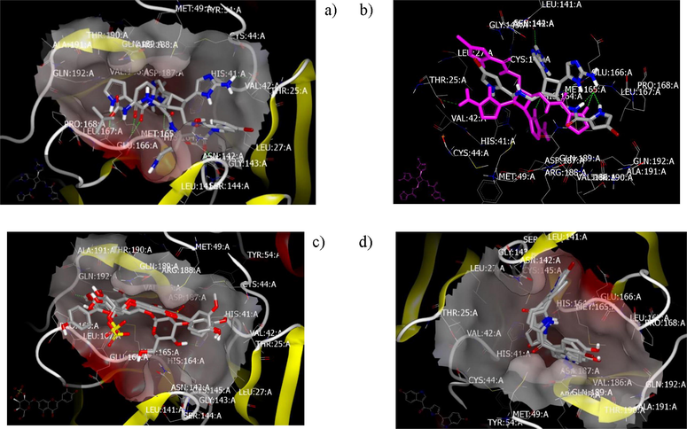 visual representation by Vida: a) Debromo sceptrin reprsents unique and strong interaction similar to co crystalized ligand N3; b) debromo sceptrin (pink) and Sceptrin (blue) not co overlay; c) Thalassoilin B and thalassoilin A overlay completely each other while thalassoilin C exhibited different binding mode; d) topsentin derivatives) overlay each other.