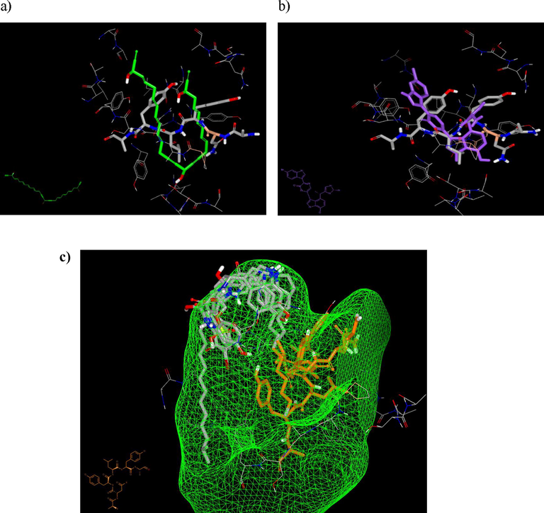 a) Polyacetylenetriol adopted same interaction domain to the standard; b) dragmacidin F interacts with receptor domains in same clefts as standard ligand; c) topsentin, calyceramide C, bromotopsentin and 4,5-dihydro-6-deoxybromotopsentin cluster inside the inner grid.
