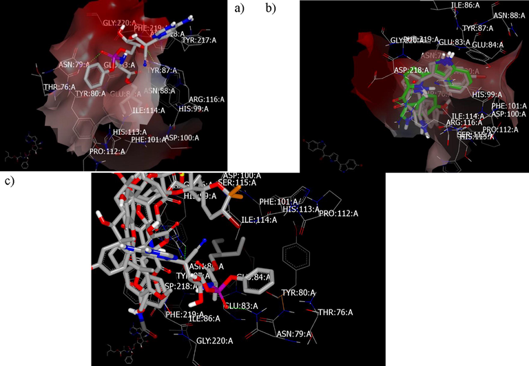 a) Remidisver docked with formation two HB with GLN:166 A and HB with ASN:79 A; b) Bromotopsentin, 4,5-dihydro-6-deoxybromotopsentin and topsentin overlay with 4,5-dihydro-6-deoxybromotopsentin and topsentin; c) antimycin A1, thyrsiferyl 23- acetate, aspernolide A, thalassoilin B, dragmacidin, and fsceptrin cluster on the outer surface of the receptor and side the inner grid.