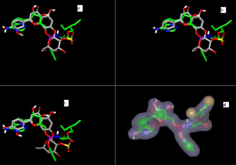 ROCS view by Vida: a) thalassoilin B (grey) overlay with remdesivir (green); b) thalassoilin C (grey) overlay with remdesivir (green); c) thalassoilin A (grey) overlay with remdesivir (green); d) colour shape and volume of remdesivir.
