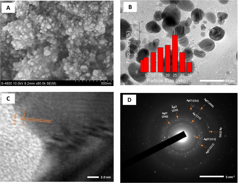 SEM image (A); TEM image (B) and size distribution (inset); HRTEM image (C) and SAED pattern (D) of PEP-AgNPs.