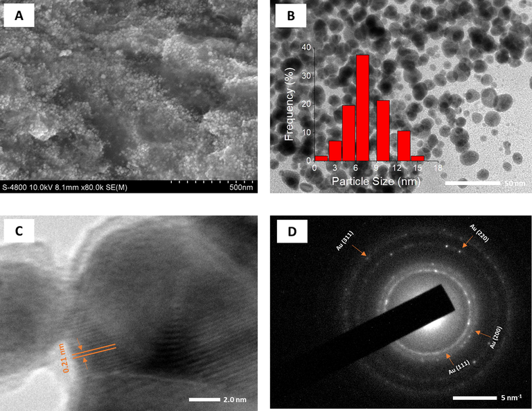 SEM image (A); TEM image (B) and size distribution (inset); HRTEM image (C) and SAED pattern (D) of PEP-AuNPs.