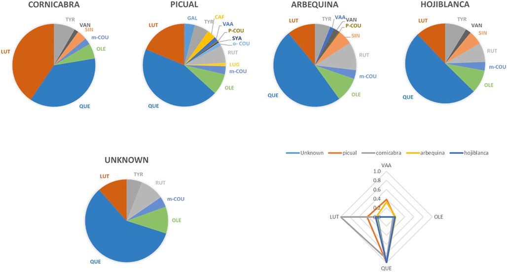 Relative distribution of phenolic compounds for the four olive varieties studied (n = 3) and resulting fingerprint proposed.