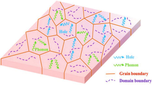 A schematic of the material’s grain boundaries illustrating the motions of holes and phonons. Adapted from ref (Zhang et al., 2019).