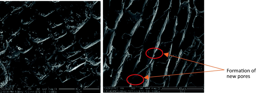 SEM images of (a) GHBR (b) GHBRAC.