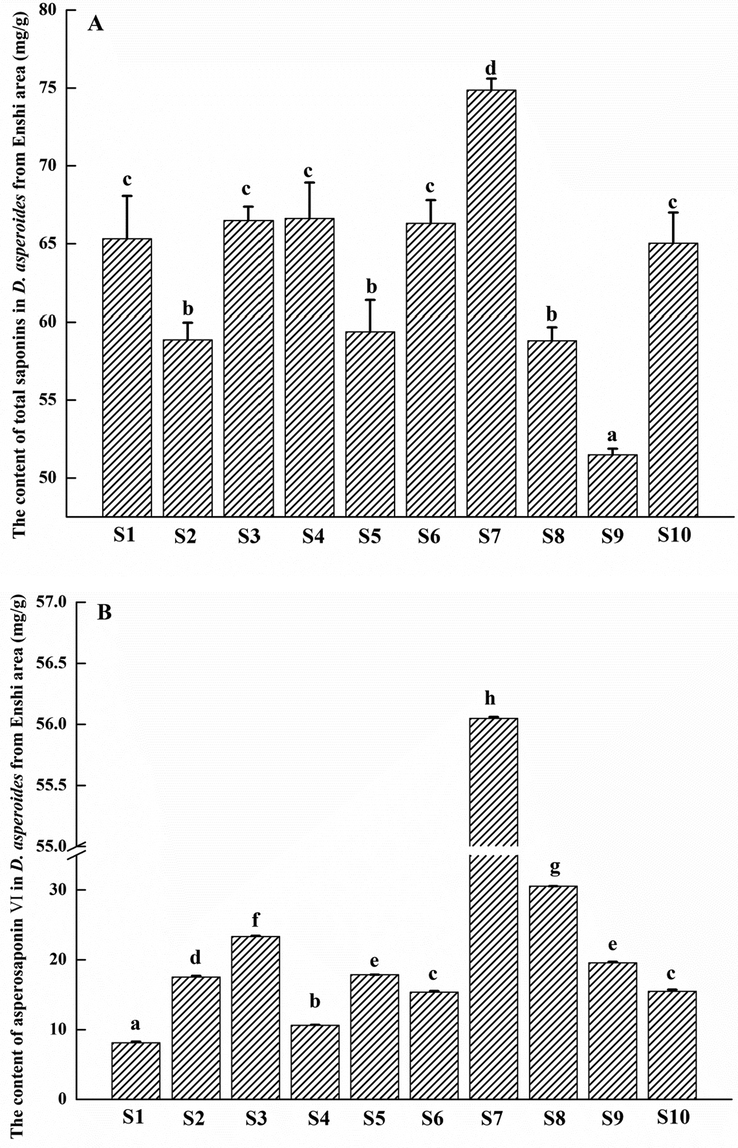 The contents of total saponins (A) and asperosaponin VI (B) in D. asperaides from Enshi areas.