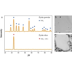 Article figure