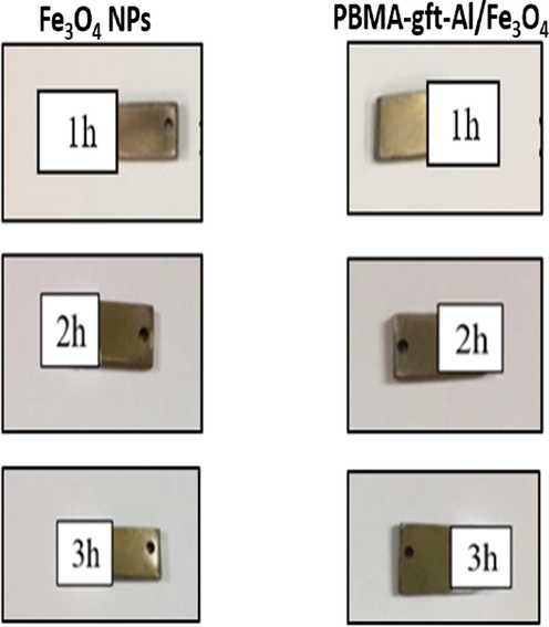 Morphologies of carbon steel after coating by Fe3O4 NPs and PBMA-gft-Al/Fe3O4 at different time.