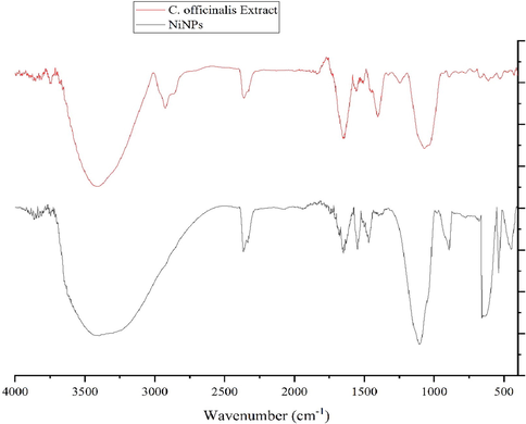 FT-IR Spectrum of NiONPs and C. officinalis extract.