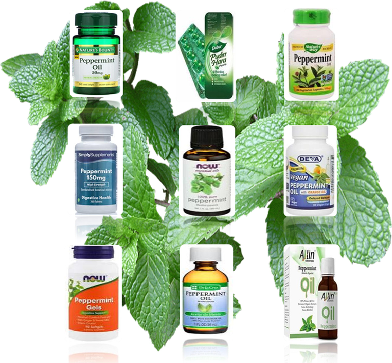 Some of Mentha based therapeutic products available in market.