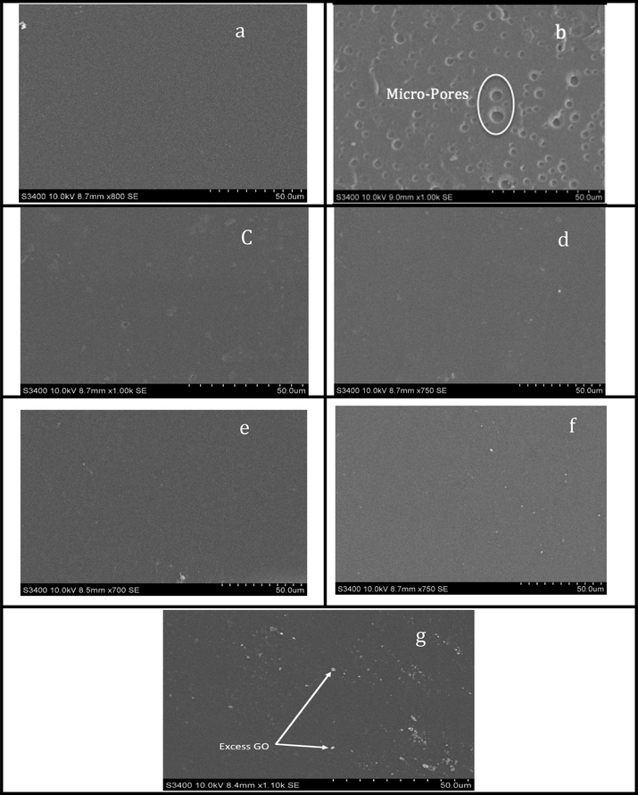 SEM images of (a) pure PVA membrane, (b) PVA with Pluronic F-127 (c) PVA-G1, (d) PVA-G2, (e) PVA-G3, (f) PVA-G4 and (g) PVA-G5.