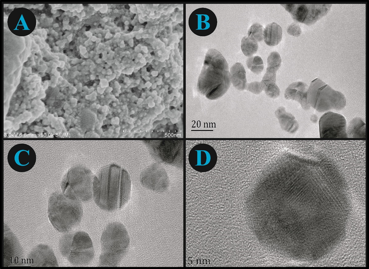 (A) SEM and TEM (B, C, and D) results of AgNPs at different resolutions.