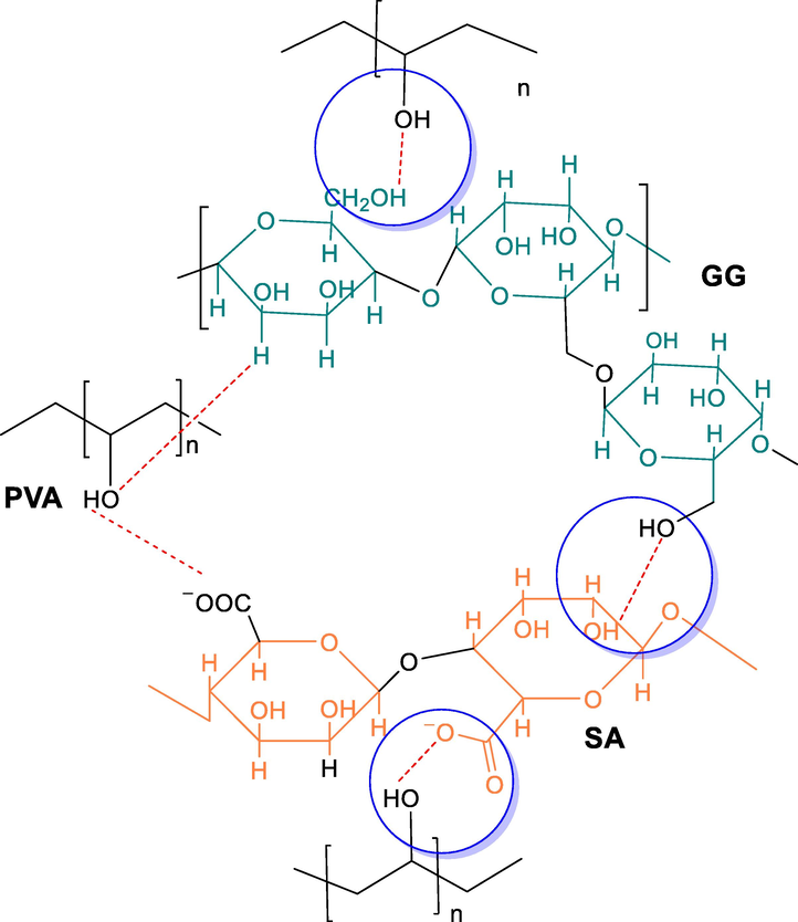 Proposed interactions among polymers for the formation of blended hydrogels.