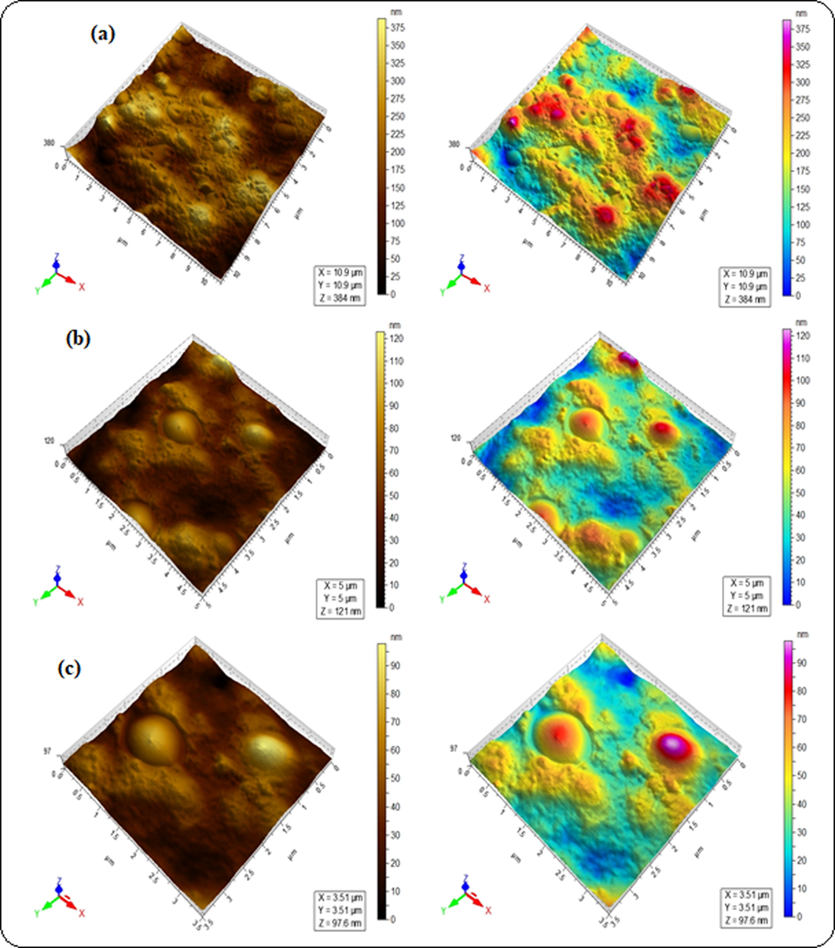 AFM micrographs of blended hydrogels for the sample GA-03 (a) 2.5 µm, (b) 1 µm and (c) 0.75 µm.