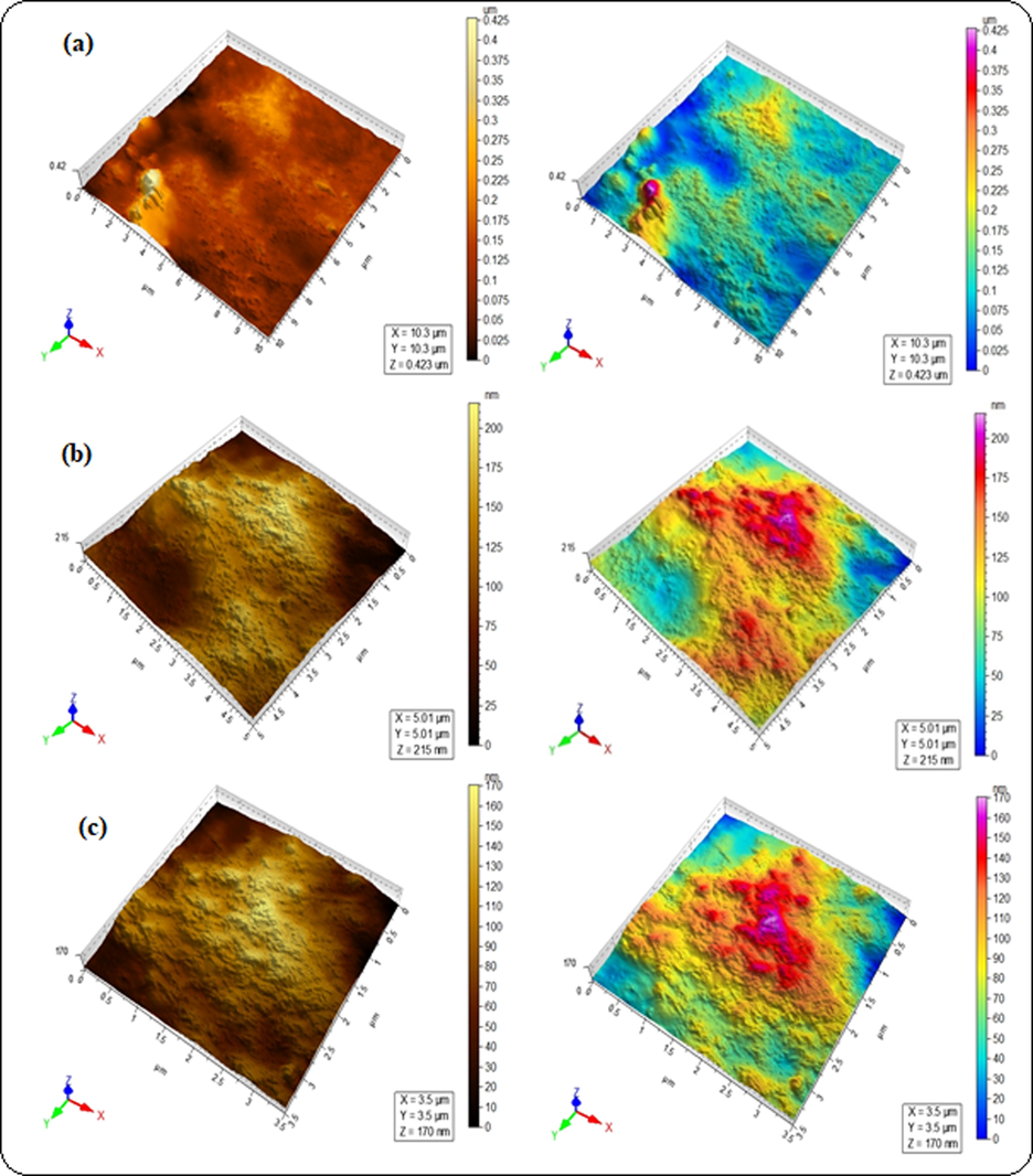 AFM micrographs of blended hydrogels for the sample GA-04 (a) 2.5 µm, (b) 1 µm and (c) 0.75 µm.