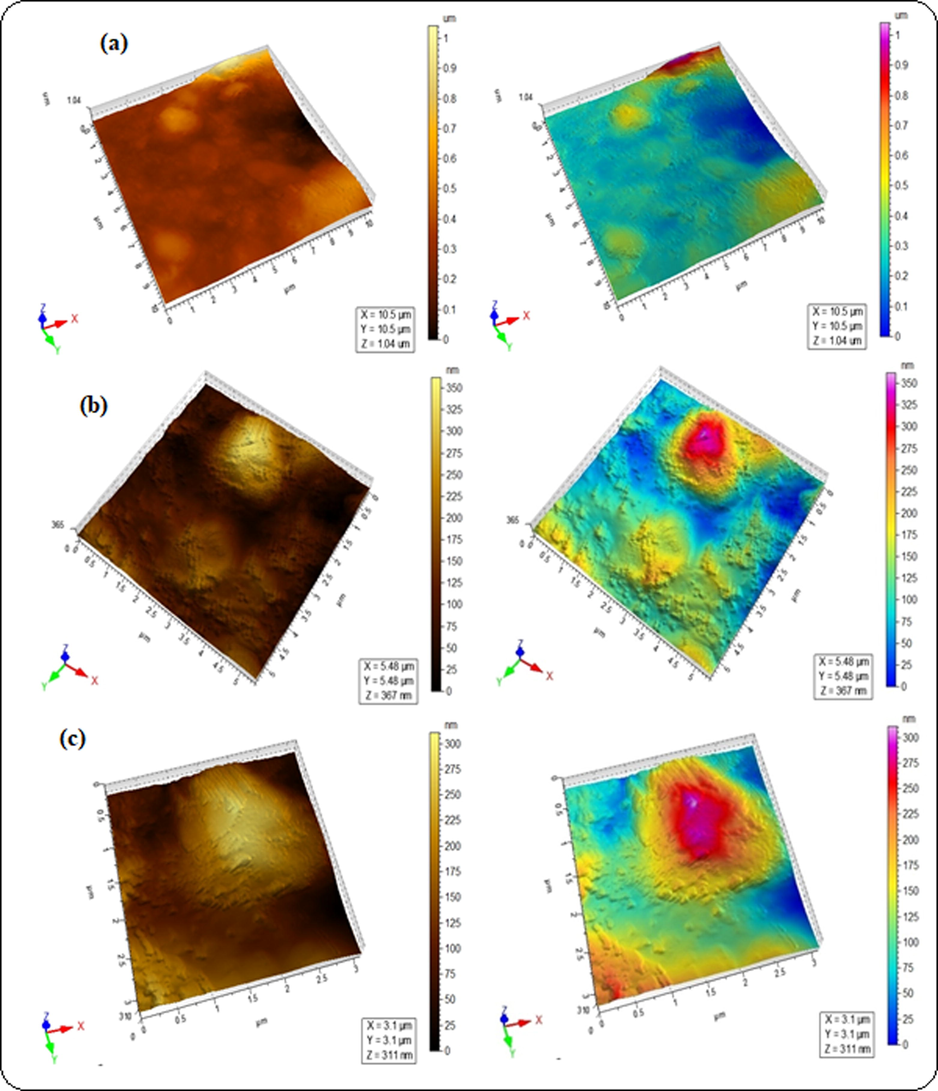 AFM micrographs of blended hydrogels for the sample GA-05 (a) 2.5 µm, (b) 1 µm and (c) 0.75 µm.