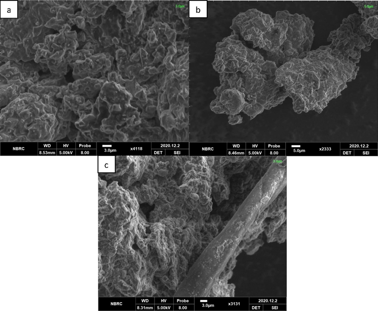 SEM Images of the blended hydrogels GA-03 (a), GA-04 (b) and GA-05 (c).