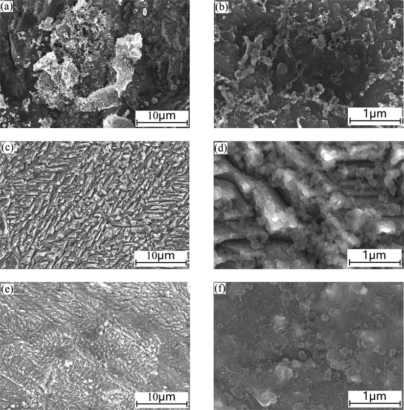 Effect of PPE on the corrosion morphology of mild steel in 1.0 mol/L H3PO4 medium: (a), (b) without PPE; (c), (d) with 1.0 g/L PPE; (e), (f) with 5.0 g/L PPE.