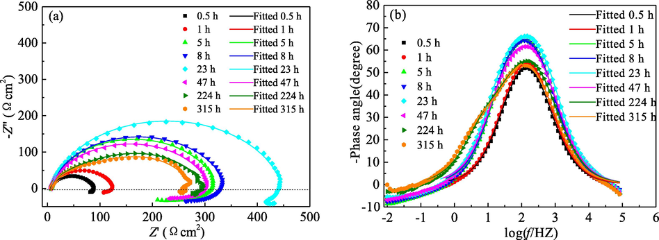 EIS diagrams for mild steel immersed in 1.0 mol/L H3PO4 solution with 5.0 g/L PPE for different times: (a) Nyquist diagrams; (b) Negative phase angle for Bode diagrams.