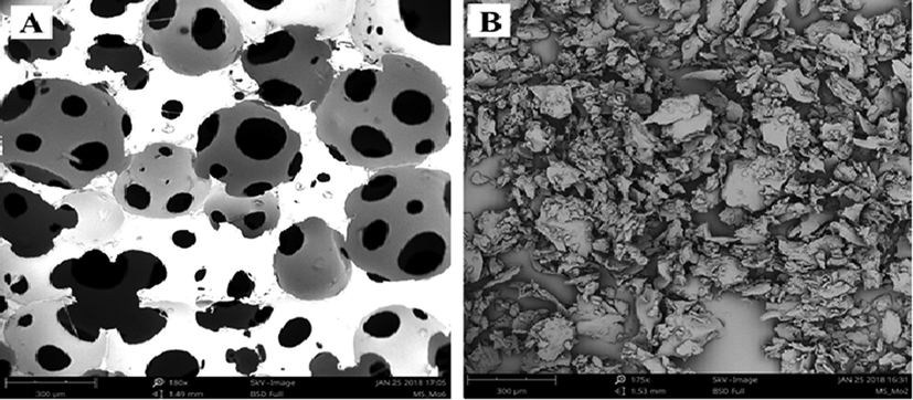 SEM images of raw PUF (a), and processed PUF (b).