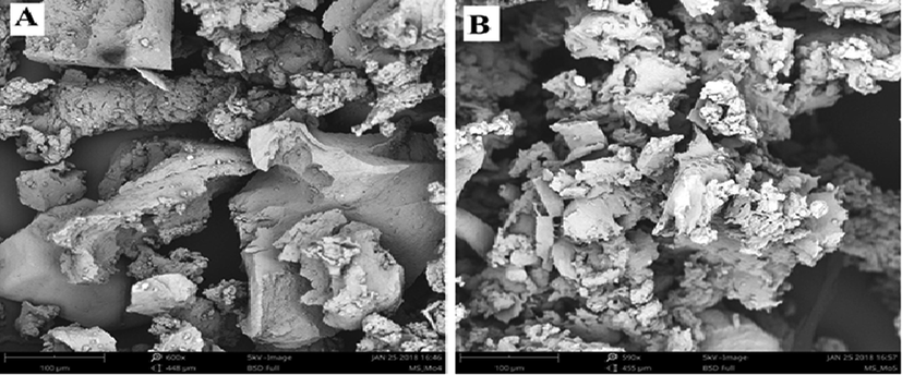 SEM images of raw rubber granulate (a), and processed rubber granulate (b).